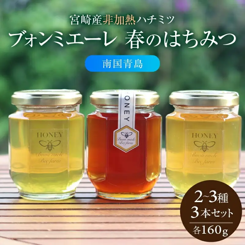 【最速便】【数量・期間限定】宮崎産非加熱ハチミツ(南国青島シリーズ)2～3種 ブォンミエーレ春のハチミツ160g×3本セット 国産 ハチミツ 蜂蜜 はちみつ 非加熱 3本 セット 詰め合わせ 非加熱はちみつ 非加熱処理 食べ比べ 味比べ ギフト 瓶 調味料 パン トースト グルメ お取り寄せ