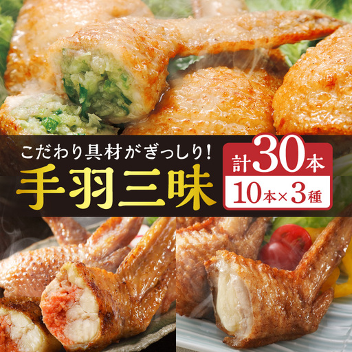 餃子 手羽先 3種セット 餃子