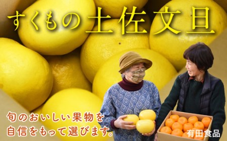 土佐文旦 5kg家庭用 文旦
