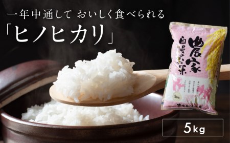 宿毛産ヒノヒカリ 5kg ヒノヒカリ