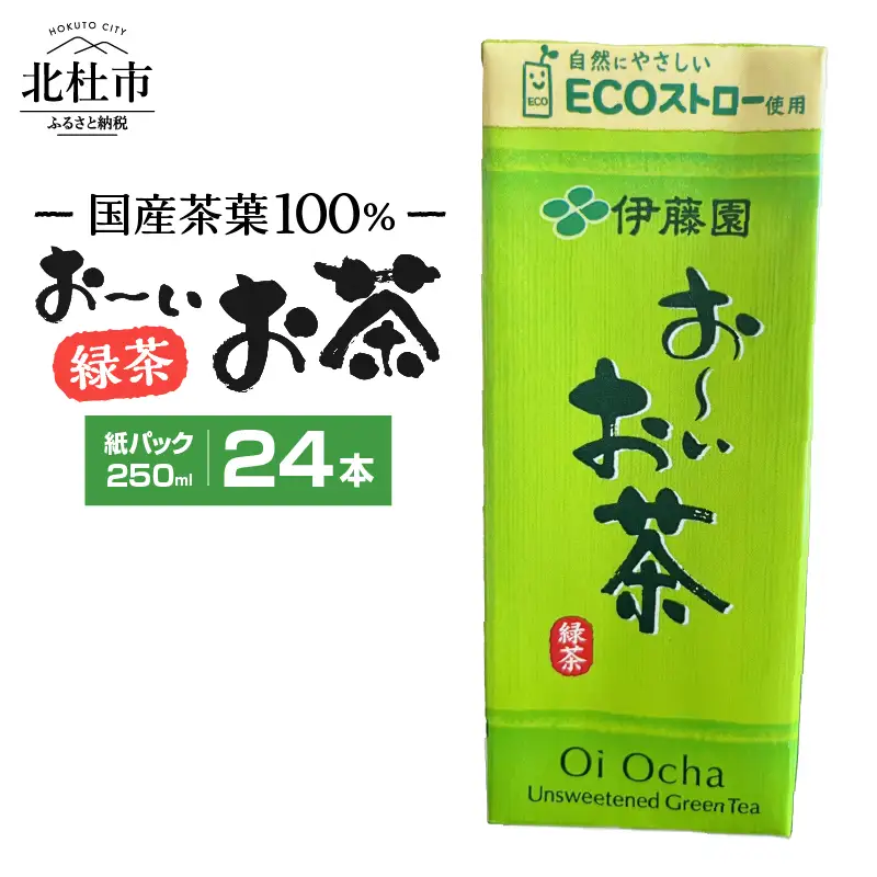 おーいお茶　250ml　24本　伊藤園　紙パック [h132]