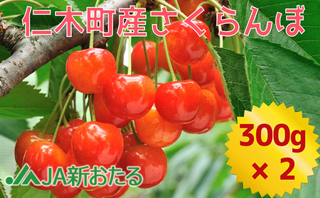 さくらんぼ 600g サクランボ