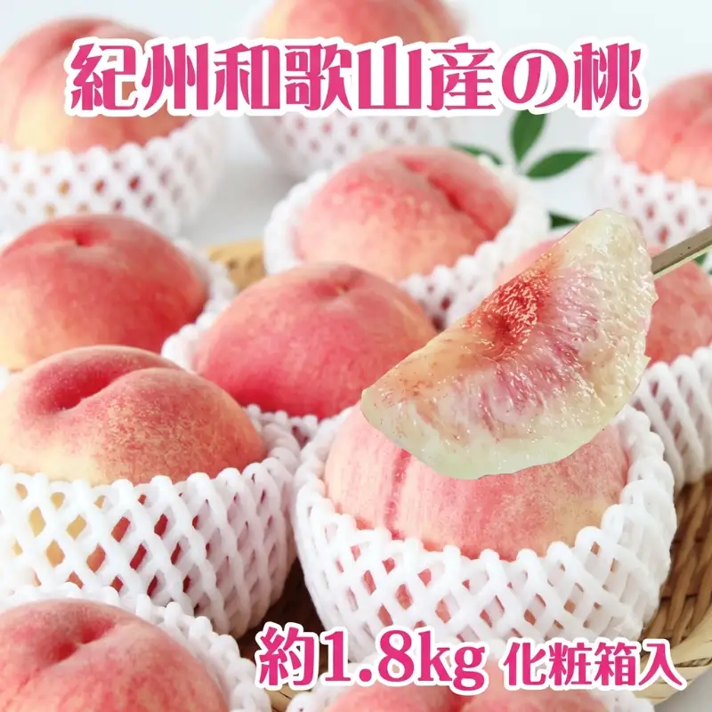 紀州和歌山産の桃　約1.8kg　化粧箱入【2026年6月下旬頃～2026年8月上旬頃に順次発送予定】【UT52】【Z016-uot720-2】