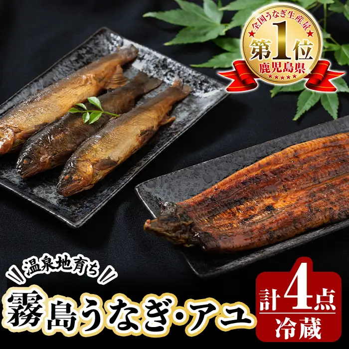 B0-160 数量限定！霧島うなぎ蒲焼きと霧島アユ子持ち甘露煮詰め合わせ(計4点)【田代水産】