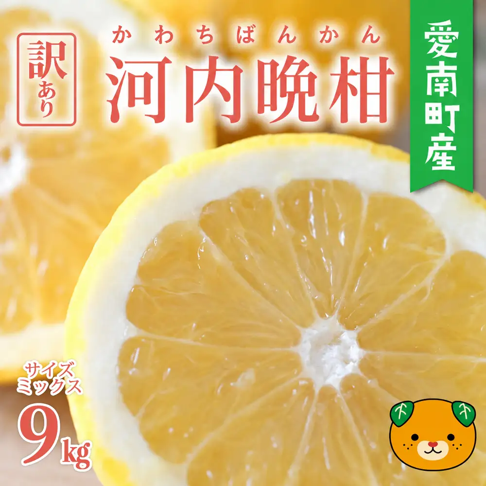【数量限定】 訳あり 河内晩柑 9kg みかんの山祥 河内晩柑