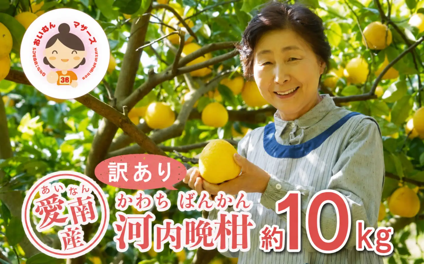 訳あり 河内晩柑 10kg みかん あいなんマザーズ
