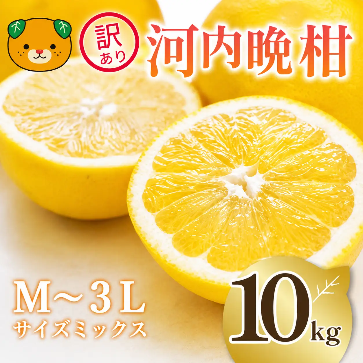 【先行予約】  訳あり 河内晩柑 10kg サイズミックス 家庭用 樹齢 20年 以上 古木 和製 グレープフルーツ 愛南ゴールド 直送  フルーツ 人気 柑橘 爽やか 甘み ジューシー 果汁 旬の果物 くだもの みかん サイズ不揃い 産地直送 農園直送 春 味覚 初夏 デザート ジュース おすすめ 生搾り デザート ゼリー 愛媛県 愛南町 清家ばんかんビレッジ