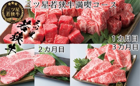 若狭牛 定期便 3ヶ月 サイコロステーキ ステーキ肉 若狭牛