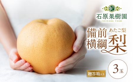 梨 2026年 備前横綱梨（あたご梨）3玉（1玉1～1.5kg）贈答箱 【11月中旬～12月下旬頃発送】 