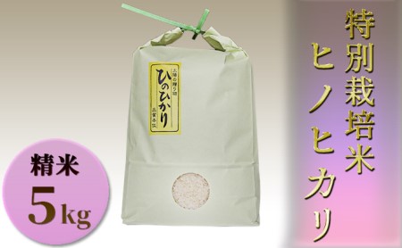 お米 ヒノヒカリ 5kg 特別栽培 お米