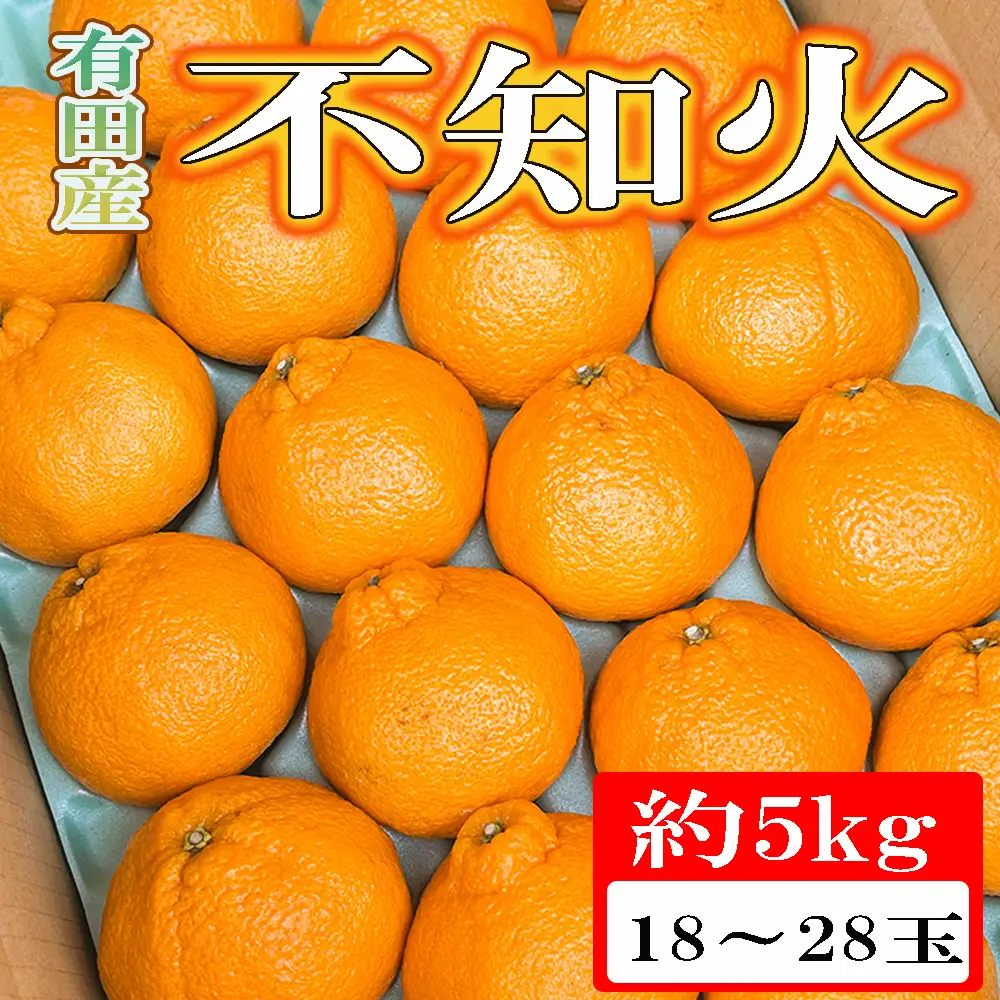 【濃厚】有田の不知火約5kg（18玉～28玉おまかせ） ※2027年2月中旬～2027年4月中旬頃に順次発送予定（日付指定不可）【tec860A】
