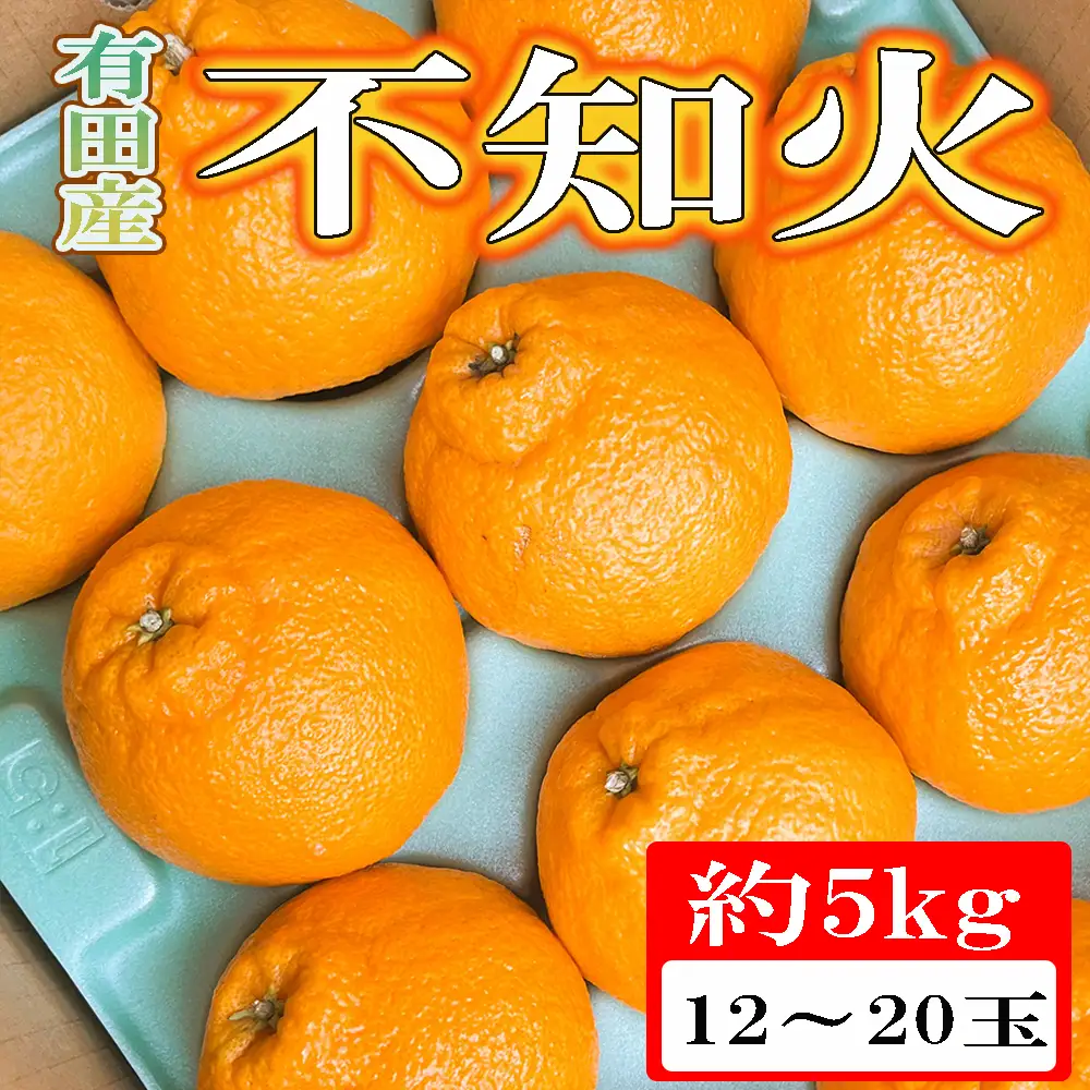 【濃厚】有田の不知火約5kg（12玉～20玉おまかせ） ※2027年2月中旬～2027年4月中旬頃に順次発送予定（日付指定不可）【tec861A】