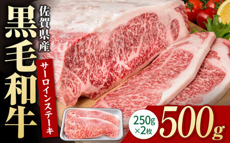 佐賀県産 黒毛和牛 サーロインステーキ 500g ステーキ [IAG016]
