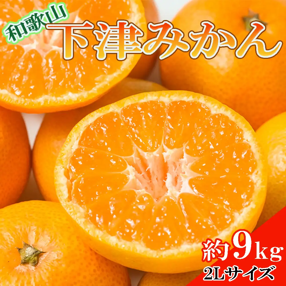 【産直・秀品】和歌山下津みかん　9kg(2Lサイズ) ※2026年11月中旬～2027年1月中旬頃に順次発送【tec869A】