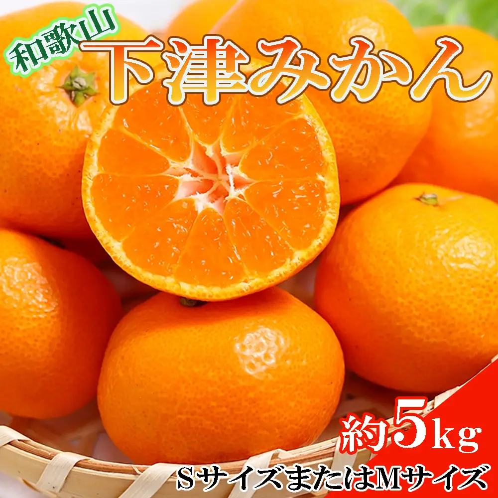 【産直・秀品】和歌山下津みかん約5kg(SサイズまたはMサイズのいずれかをお届け) ※2026年11月中旬～2027年1月中旬頃に順次発送【tec870B】