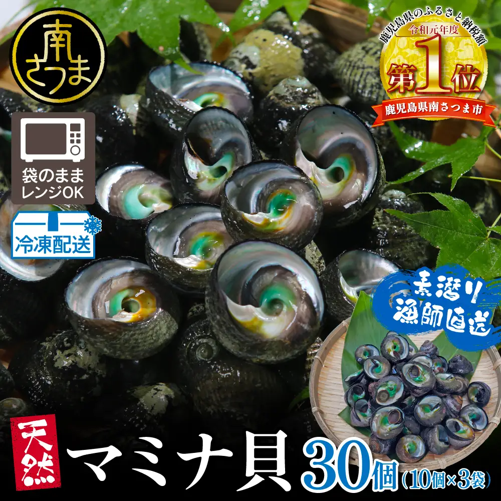 【素潜り漁師直送】【袋に入った冷凍のままでレンジ対応】【南さつま市 笠沙産 天然マミナ貝】シッタカ クボガイ 海産物 魚介類 鹿児島県 南さつま市 隆康産業