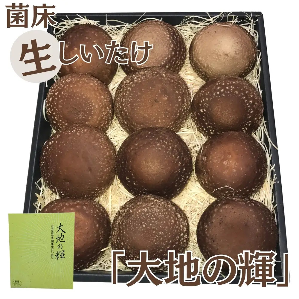菌床生しいたけ　「大地の輝」 [No.003]
