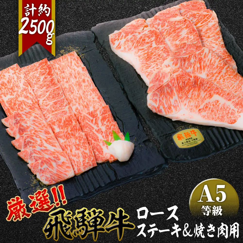 店主こだわり雌牛 飛騨牛A5等級　ステーキ＆焼き肉用計約2.5kg [No.117]