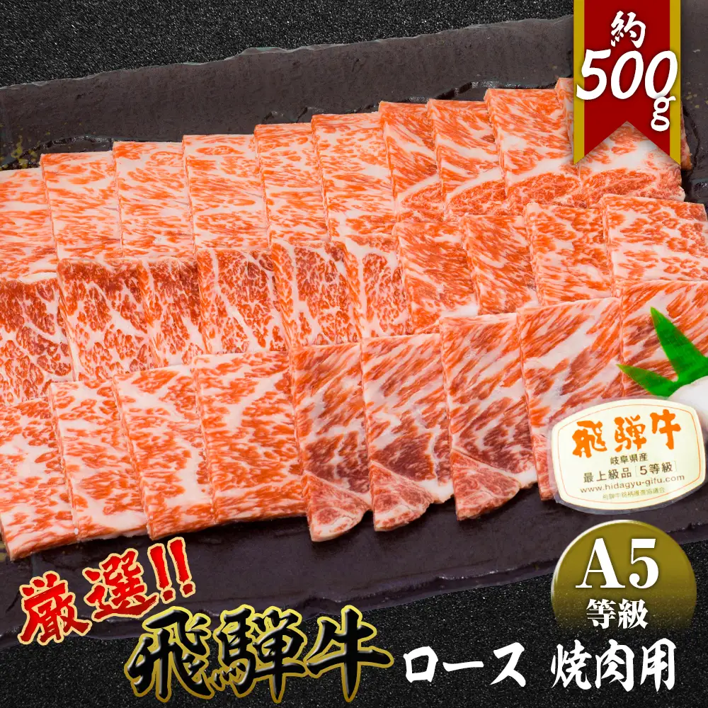 店主こだわり雌牛 飛騨牛A5等級　ロース　焼肉用　約500g [No.038]