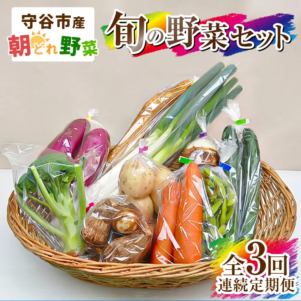 【定期便】季節の野菜セット定期便