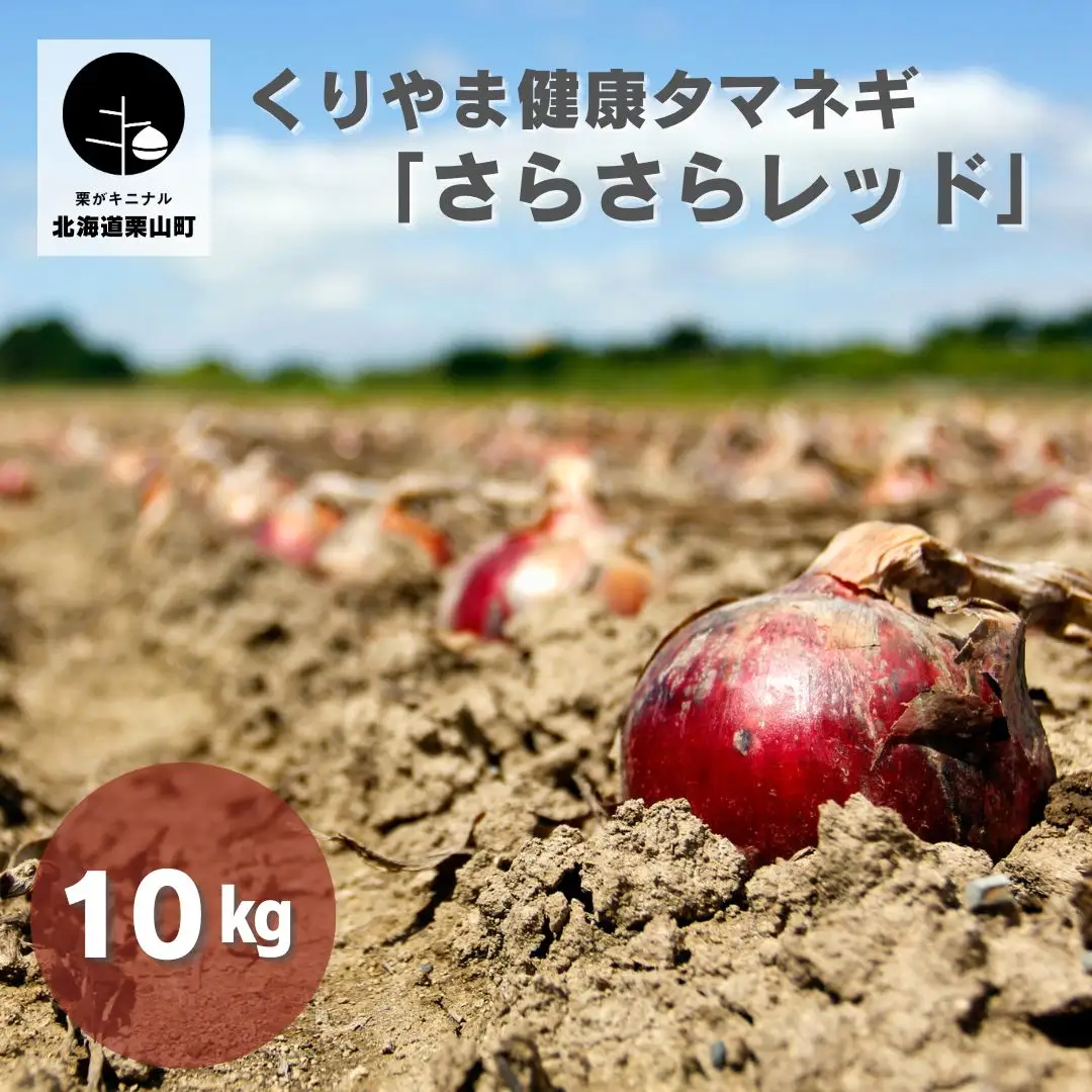 くりやま健康タマネギ「さらさらレッド」10kg