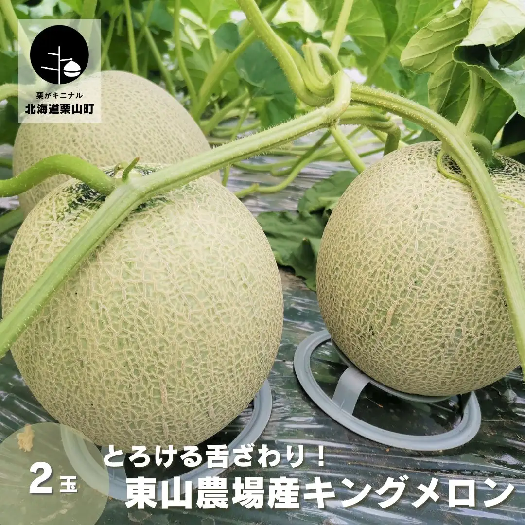 とろける舌触り！北海道栗山町東山農場産キングメロン 2玉