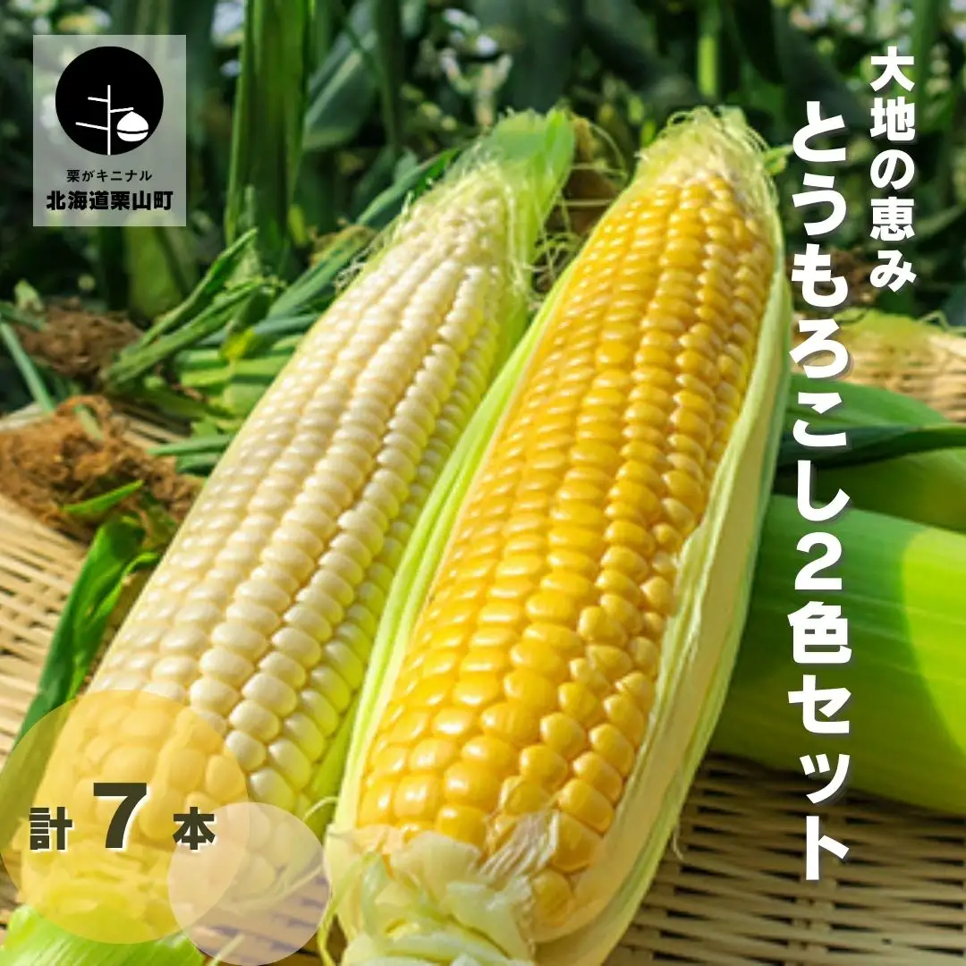 大地の恵み「とうもろこし2色セット」北海道産　7本