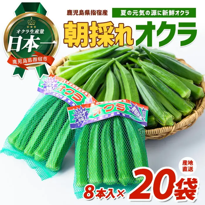 2026年 発送 夏の元気の源! 朝採れ新鮮いぶすきオクラ8本入り20袋 指宿促成青果 IB092-003 オクラ オクラ