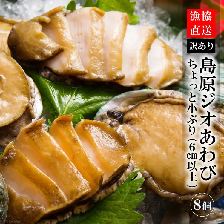 AF030【訳あり】漁協直送！島原ジオあわび 8個（ちょっと小ぶり：6cm以上）
