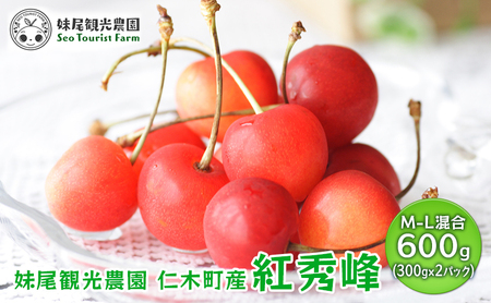 さくらんぼ 600g 紅秀峰 M-L混合 サクランボ