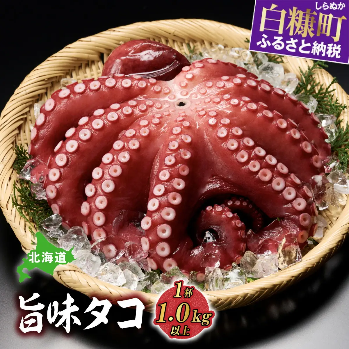 高評価 4.8／ 北海道旨味たこ【1.0kg以上×1杯】_I014-0508 | 北海道