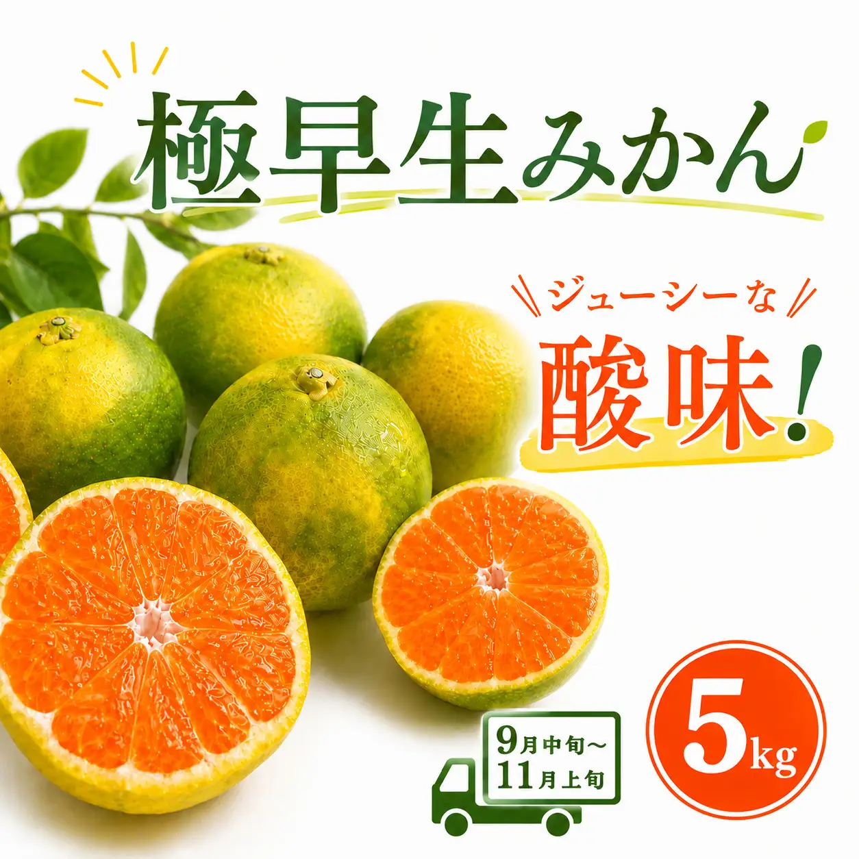 【先行予約】極早生みかん 5kg | 温州みかん みかん 蜜柑 ミカン 柑橘 緑のみかん 酸っぱい 酸味 家庭用 秋の味覚 旬 ごくわせ フルーツ 果物 くだもの 産地直送 数量限定 期間限定 人気 おすすめ 国産 高知県 室戸市
