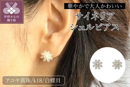 【K18】白蝶貝　サイネリアシェルピアス/No.19
