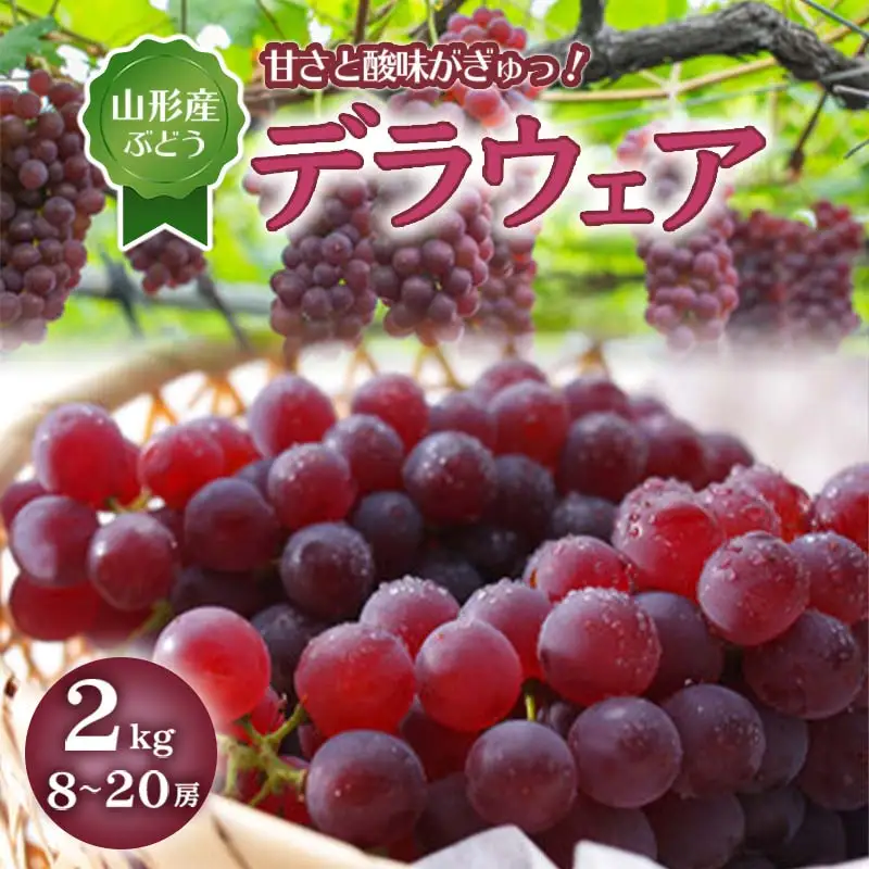 【2027年先行予約】 デラウェア 2kg 8~20房 FSY-0504