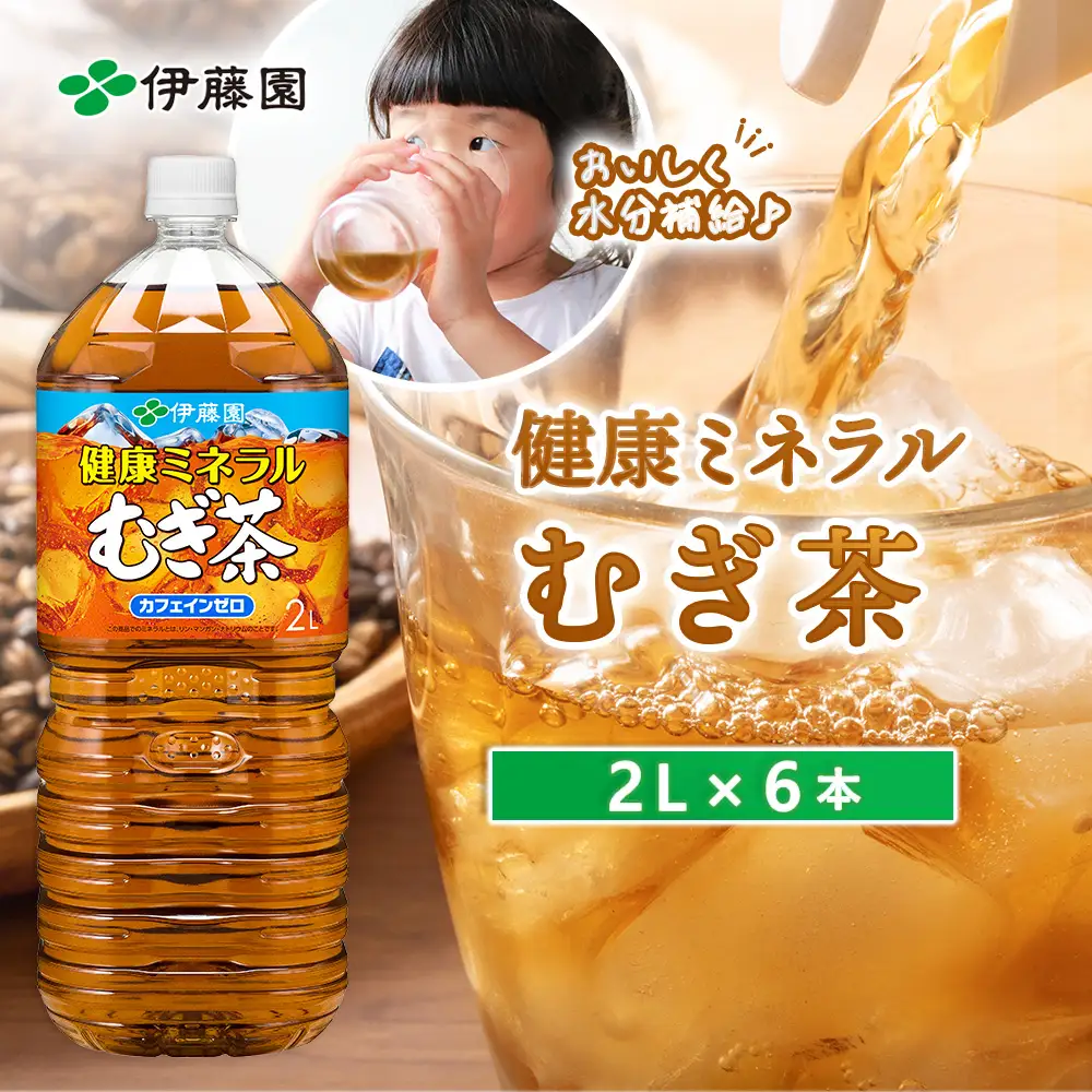 健康ミネラルむぎ茶2L×6本【50000701】