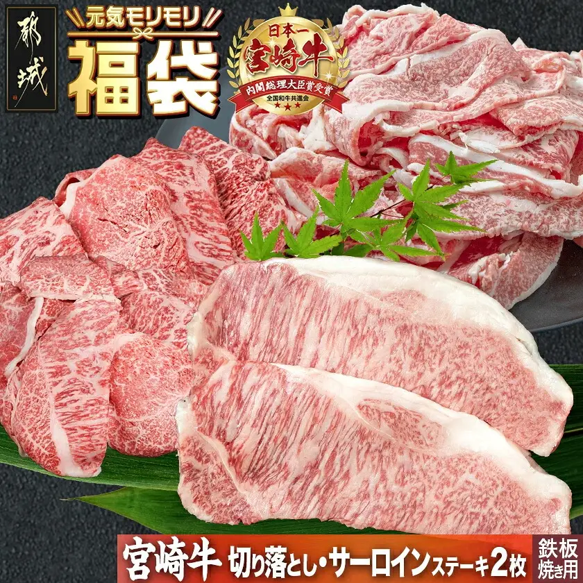 【元気モリモリ福袋】宮崎牛切り落とし・鉄板焼き用サーロイン2枚セット〔AE-2501〕_(都城市) A4 4等級 牛肉 牛バラ切り落とし肉 牛ウデ・牛モモ切り落とし肉 各500g