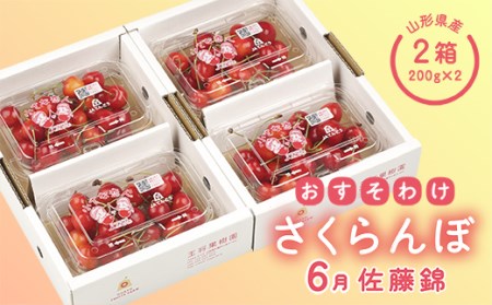 【2027年先行予約】おすそ分けさくらんぼセット6月 FSY-0061