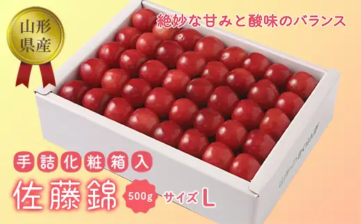 【2027年先行予約】【佐藤錦】手詰め 500g（化粧箱入り） FSY-0063