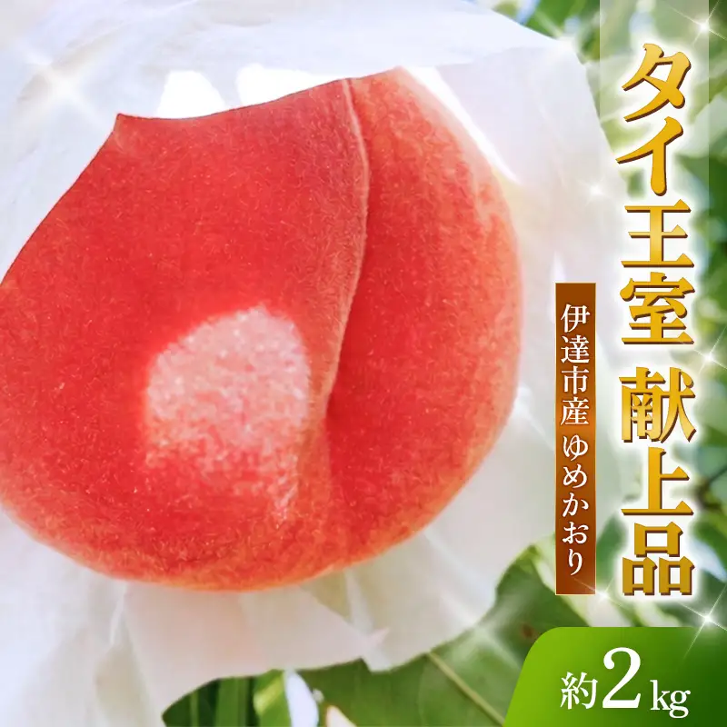 桃 ゆめかおり 約2kg 斎藤果樹園 2026年出荷分先行予約 桃 F20C-372