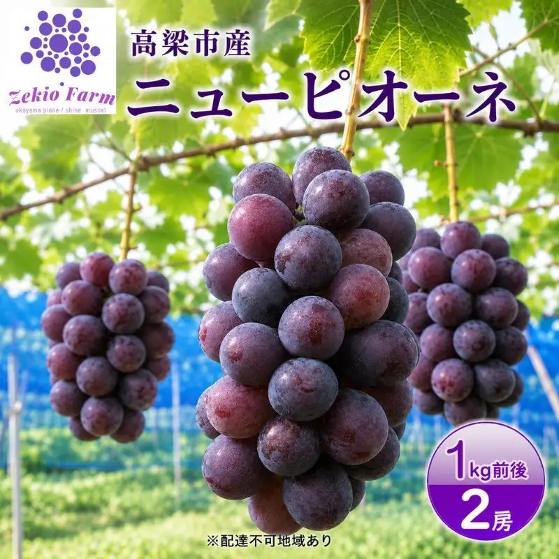 ニューピオーネ ぜきお農園 岡山県産 ニューピオーネ【2房 約1kg】【先行予約】