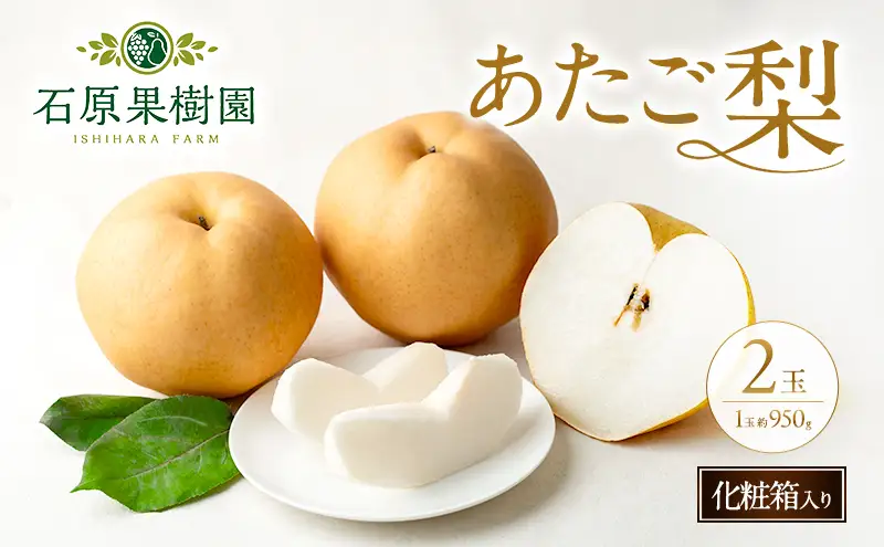 梨 2026年 先行予約 あたご梨  2玉 (1玉 約950g) 化粧箱  岡山県産 梨