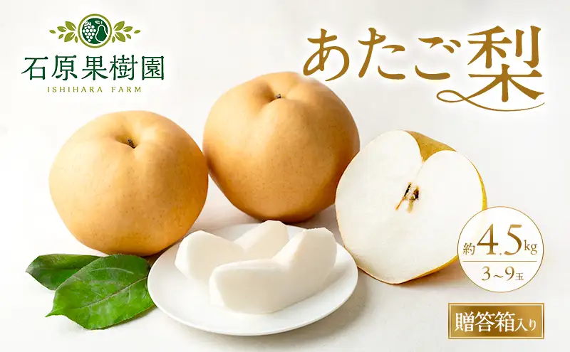 梨 2026年 先行予約 あたご梨 3～9玉 合計約4.5kg 贈答箱 岡山県産 梨