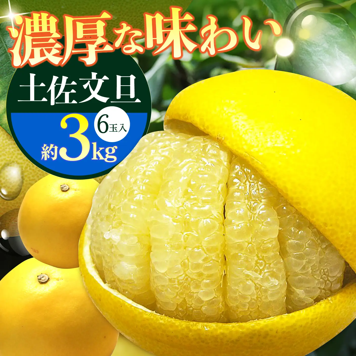 【先行予約】 南国高知温室土佐文旦 約3kg 6玉〈2026年11月中旬〜2027年2月中旬頃発送〉/ 文旦 ぶんたん 3kg 3キロ 温室 果物 フルーツ デザート 柑橘 南国 土佐 高知 名物 名産  【フルーツショップオザキ】[ATAH012]