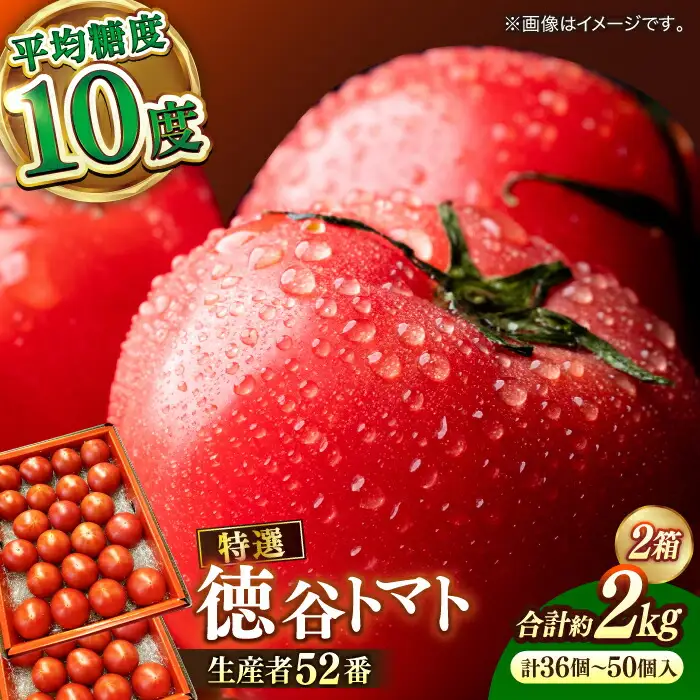 【先行予約】特選 徳谷トマト 約2kg 生産者52番 〈2027年1月中旬～2027年6月下旬頃発送〉/ トマト フルーツトマト 【フルーツショップオザキ】[ATAH014]