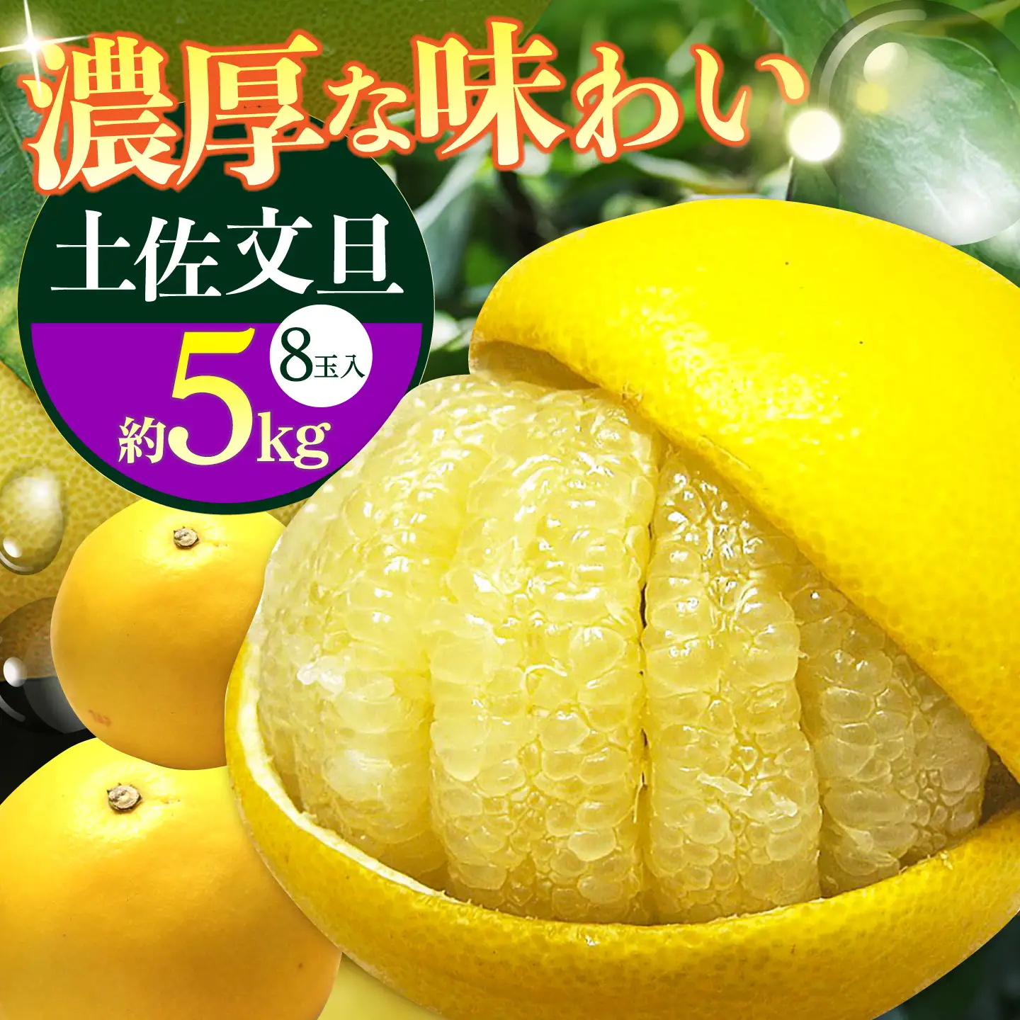 【先行予約】 南国高知温室土佐文旦 約5kg 8玉〈2026年11月中旬〜2027年2月中旬頃発送〉/ 文旦 ぶんたん 5kg 5キロ 温室 果物 フルーツ デザート 柑橘 南国 土佐 高知 名物 名産  【フルーツショップオザキ】[ATAH015]