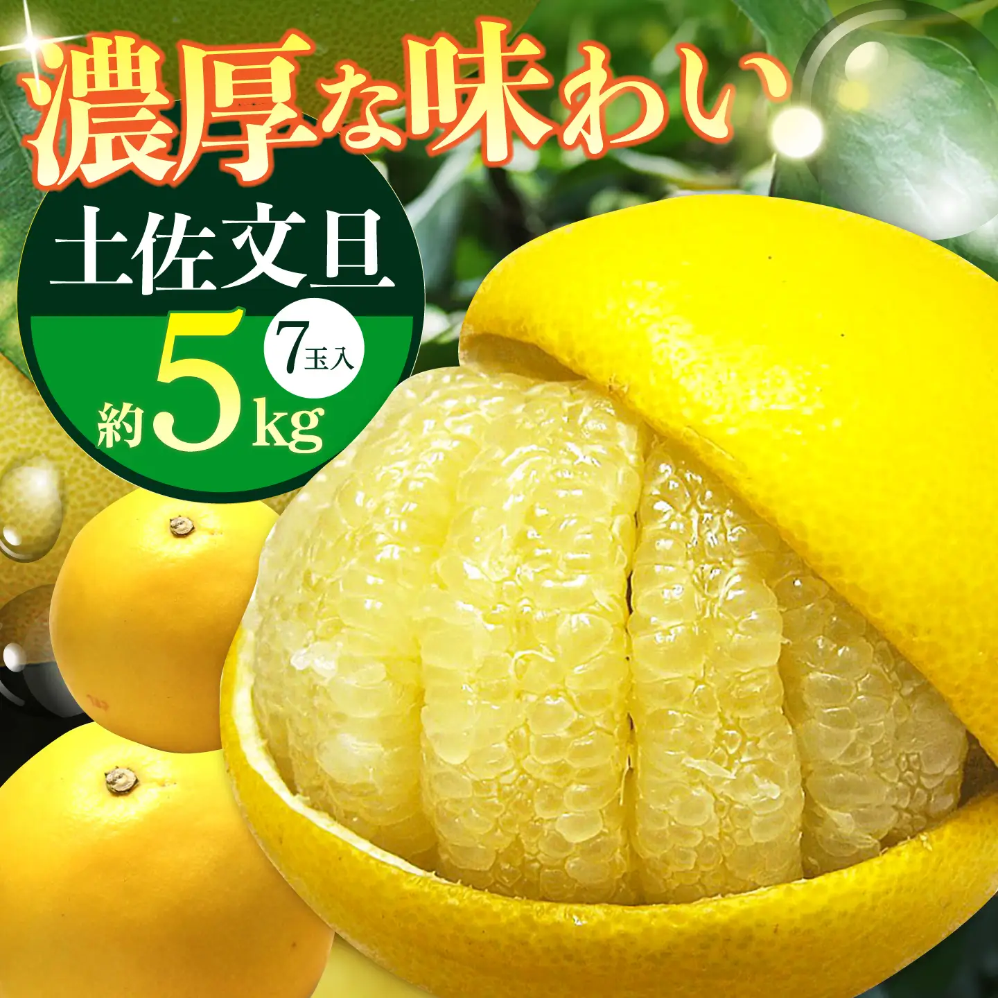 【先行予約】 南国高知温室土佐文旦 約5kg 7玉〈2026年11月中旬〜2027年2月中旬頃発送〉/ 文旦 ぶんたん 5kg 5キロ 温室 果物 フルーツ デザート 柑橘 南国 土佐 高知 名物 名産  【フルーツショップオザキ】[ATAH016]