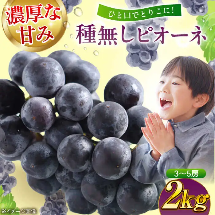 ぶどう 種無しピオーネ2kg ピオーネ [AGBN014]