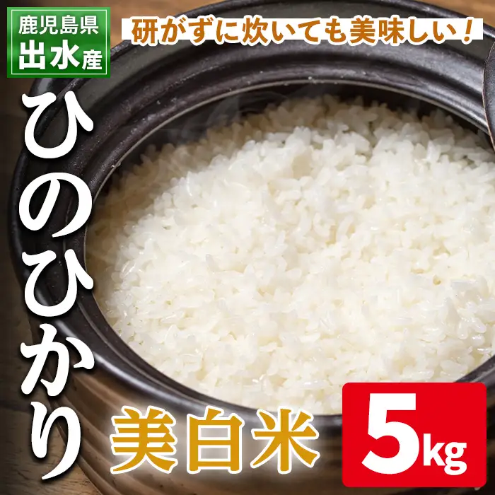 白米  美白米 ひのひかり 5kg 鹿児島県 出水市産 【田上商店】i502