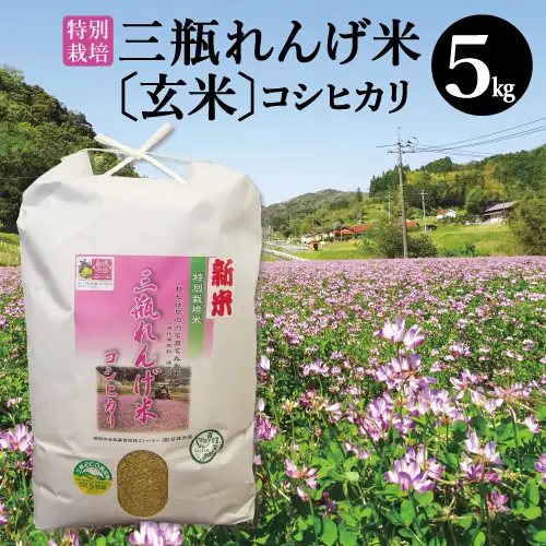 〈玄米〉特別栽培 三瓶れんげ米 コシヒカリ 5kg【玄米 5kg 令和6年産 先行予約 こしひかり お米 げんまい 2024年産 特別栽培米 エコロジー米 無化学窒素肥料 減農薬米】