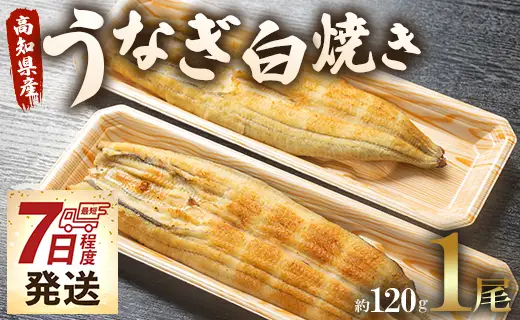 うなぎ白焼き 1尾(約120g)(無頭) 鰻 ウナギ 魚介 山椒塩 惣菜 おかず のし ギフト 贈答 贈り物 プレゼント 丑の日 国産 うなぎ屋きた本 高知県 香南市 冷凍 un-0078